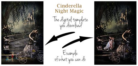 Cinderella digital background